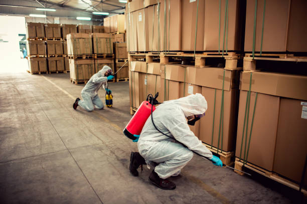 Best Emergency Pest Control  in Newport News, VA