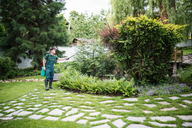 Best Pest Inspection Near Me  in Newport News, VA