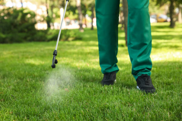 Best Best Pest Control Companies  in Newport News, VA