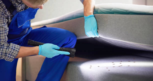 Professional Pest Control in Newport News, VA