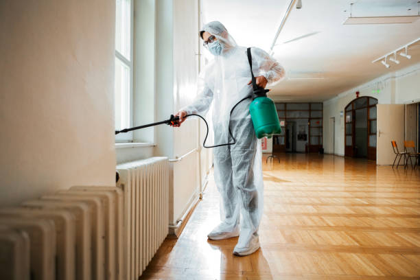 Best Ant Control Services  in Newport News, VA
