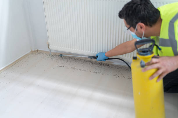 Pest Control Cost in Newport News, VA